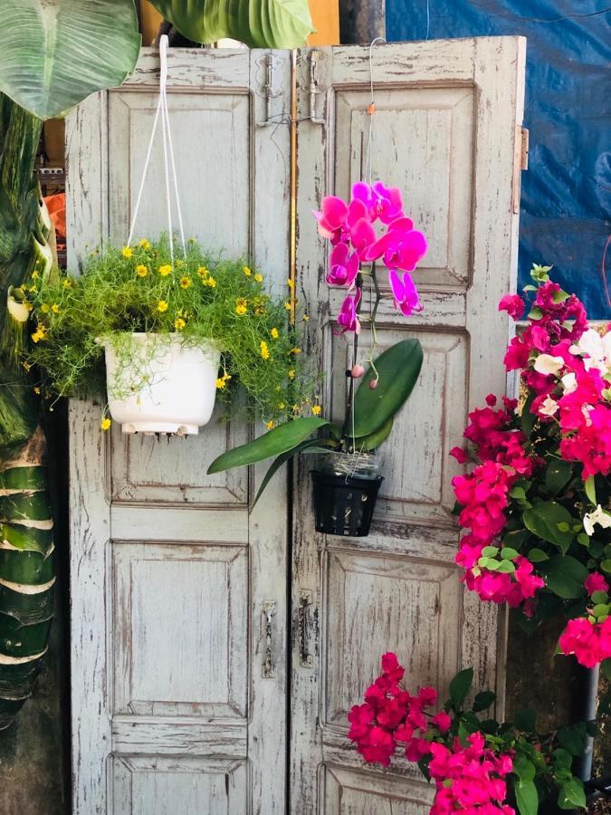 Golden Lantern Tam Thanh Homestay ตามกี่ ภายนอก รูปภาพ